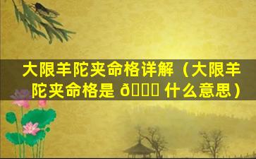大限羊陀夹命格详解（大限羊陀夹命格是 🐛 什么意思）